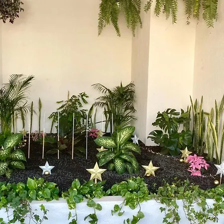 Magical Sunset By Deihu Experiences * Арона