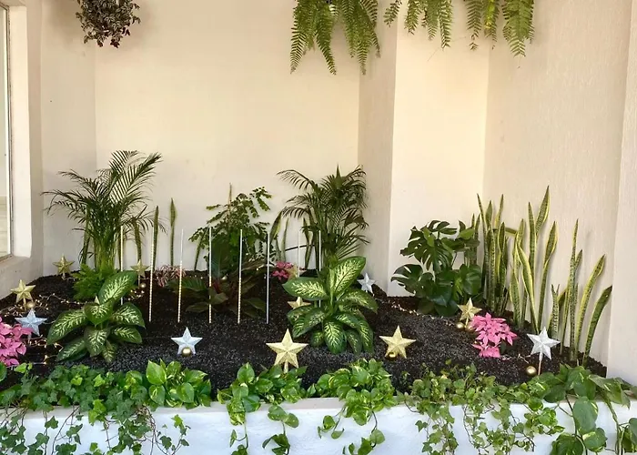 Magical Sunset By Deihu Experiences * 阿罗纳